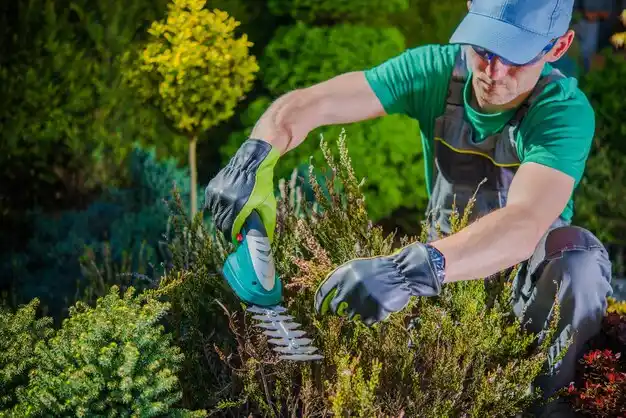 landscaping services Elm Creek
